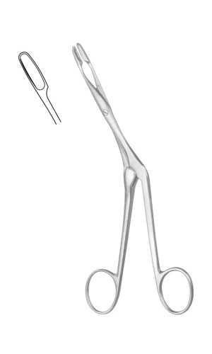Septum Forceps